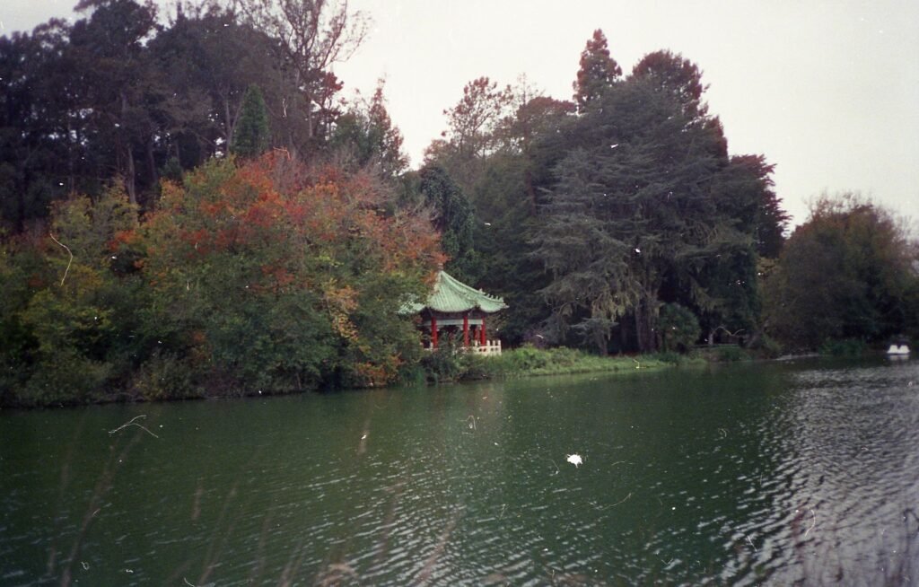 The Chinese Pavilion on Blue Heron Lake (formerly Stow Lake) in Golden Gate Park, framed by autumn trees