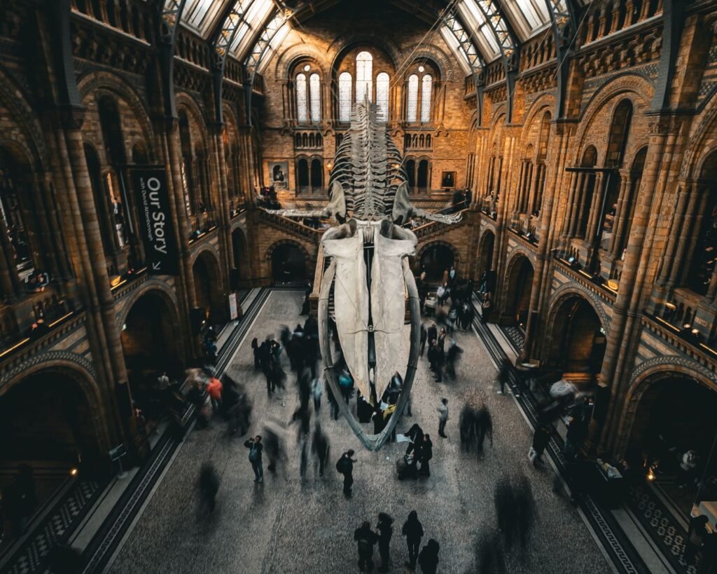 A grand museum hall with a skeleton suspended overhead