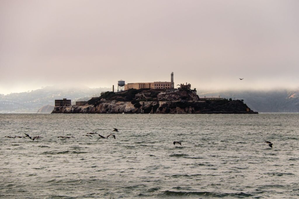 Alcatraz Island in San Francisco Bay at sunset with seagulls overhead