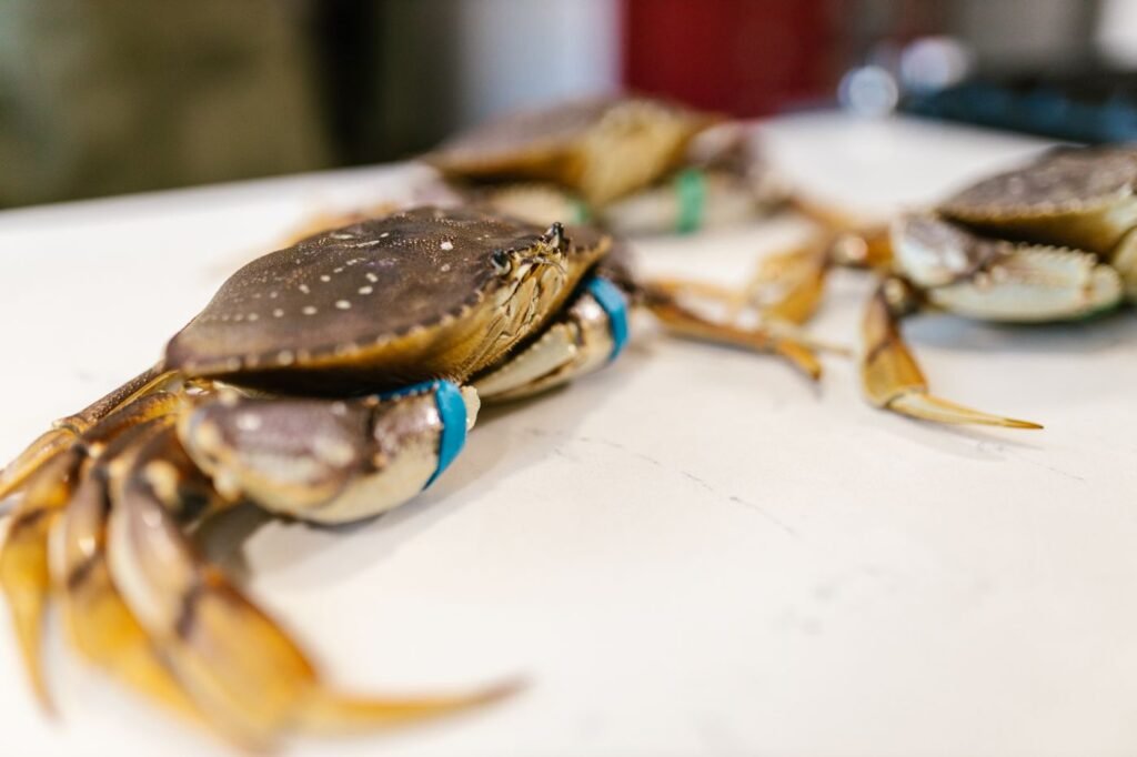 Fresh crabs on a table