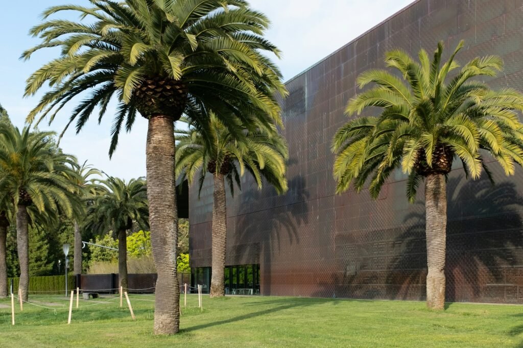 The de Young Museum's copper facade behind palm trees in Golden Gate Park