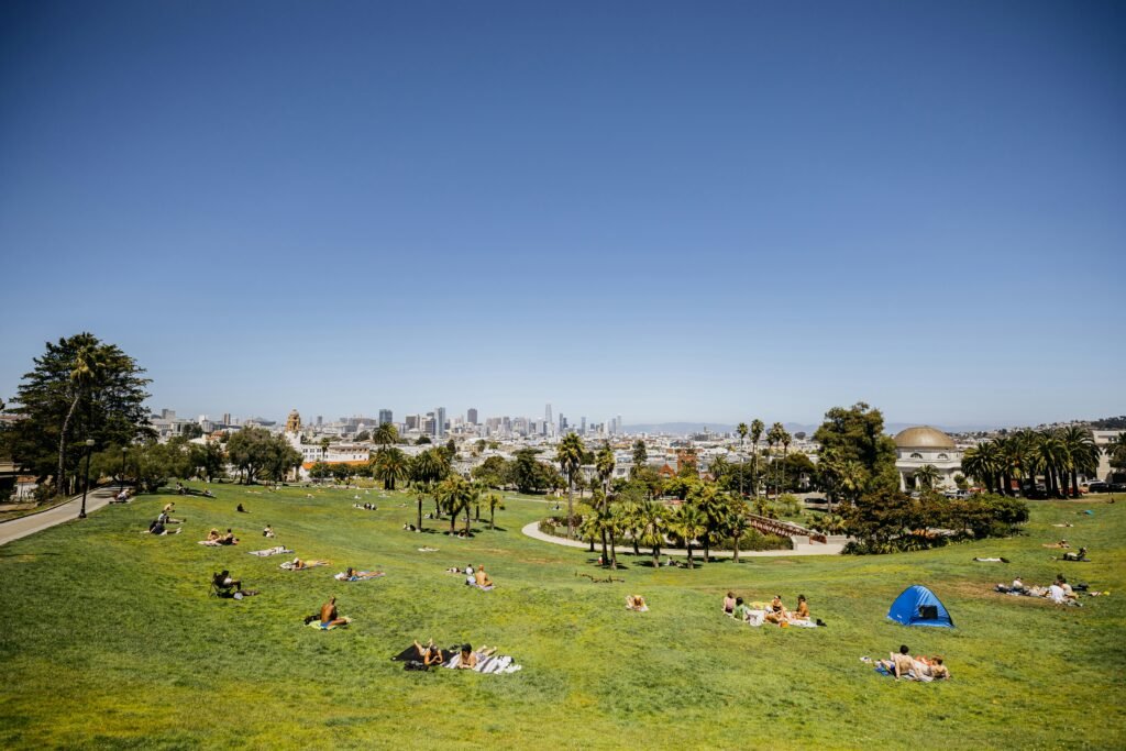Generic family picnic in a San Francisco park (Unsplash), not a photo of this event