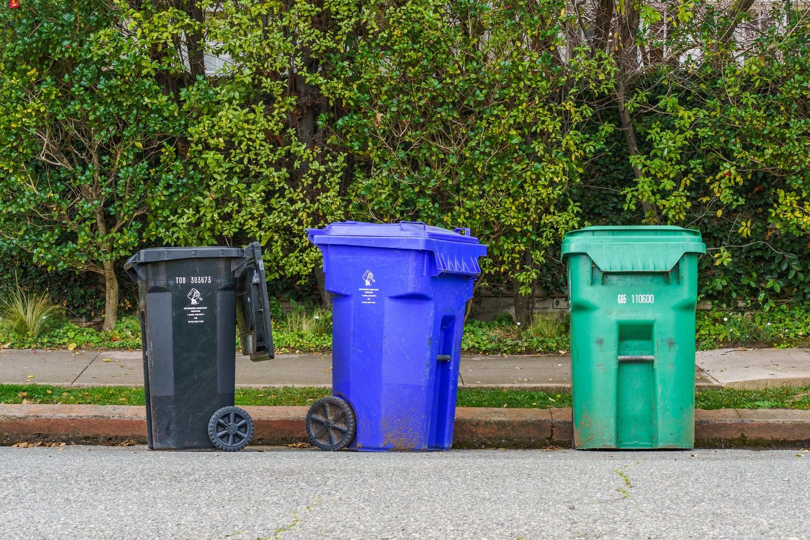 A black, a blue and a green bin lined up at a curb.