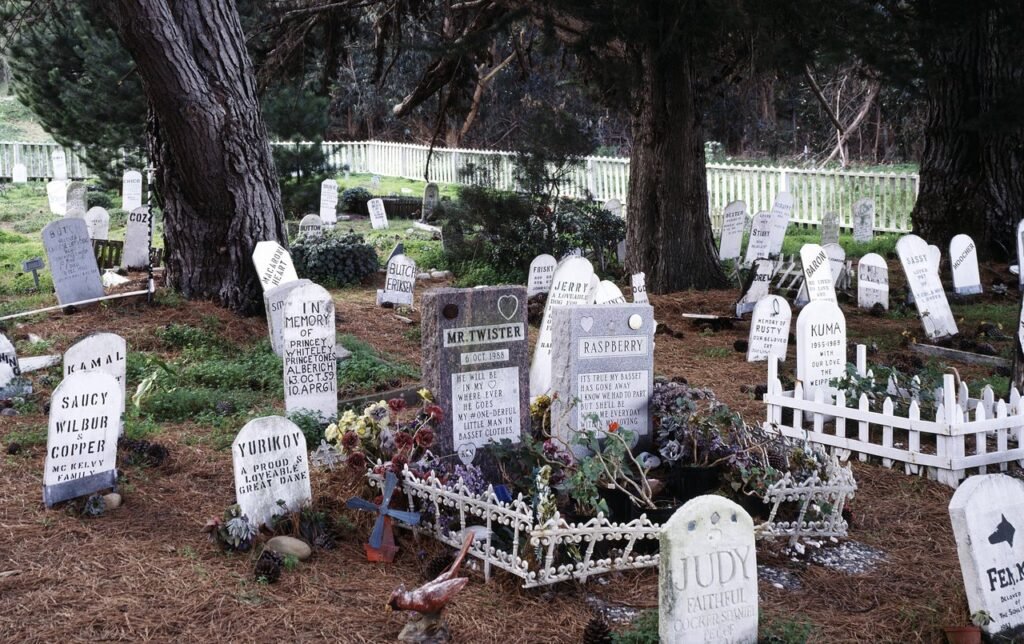 Small white headstones and flowers among cypress trees at the Presidio Pet Cemetery in San Francisco