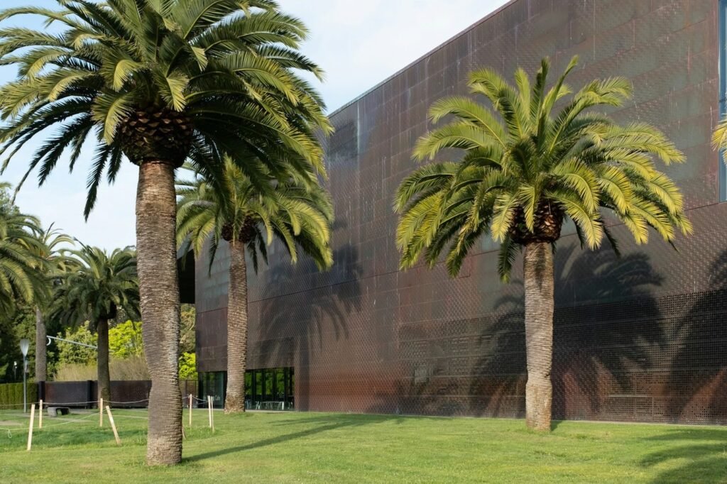 The de Young Museum's copper facade and palm trees in Golden Gate Park