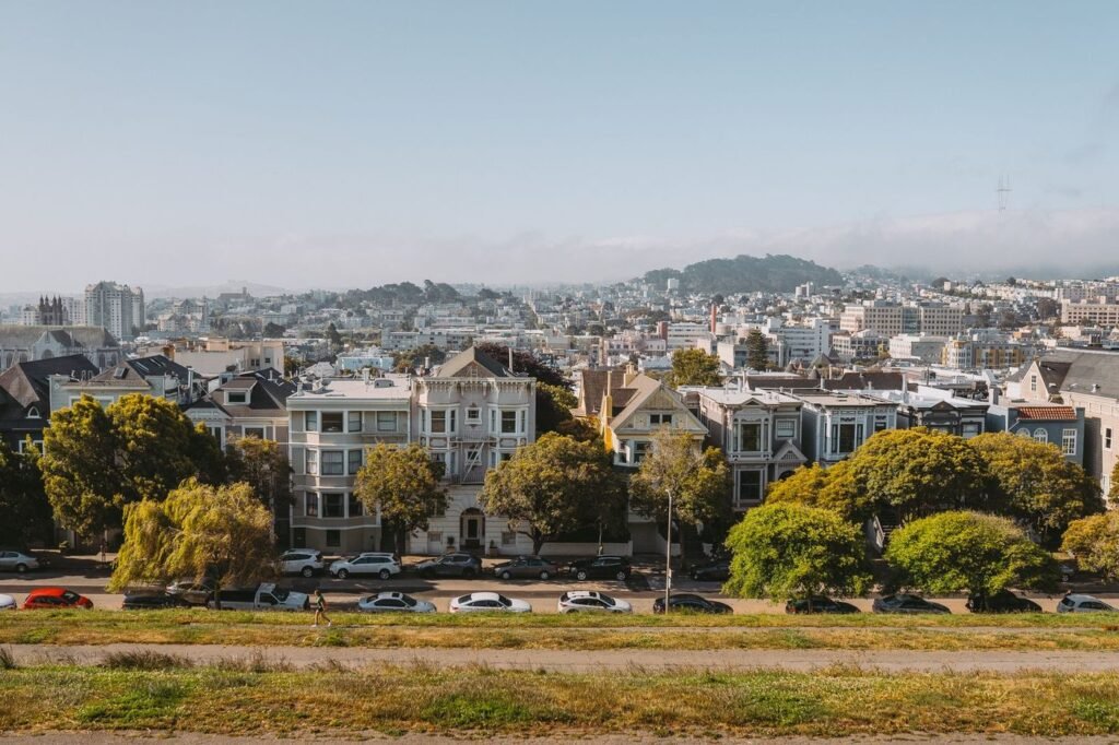 Hilltop park lawn overlooking San Francisco Victorian houses and the bay