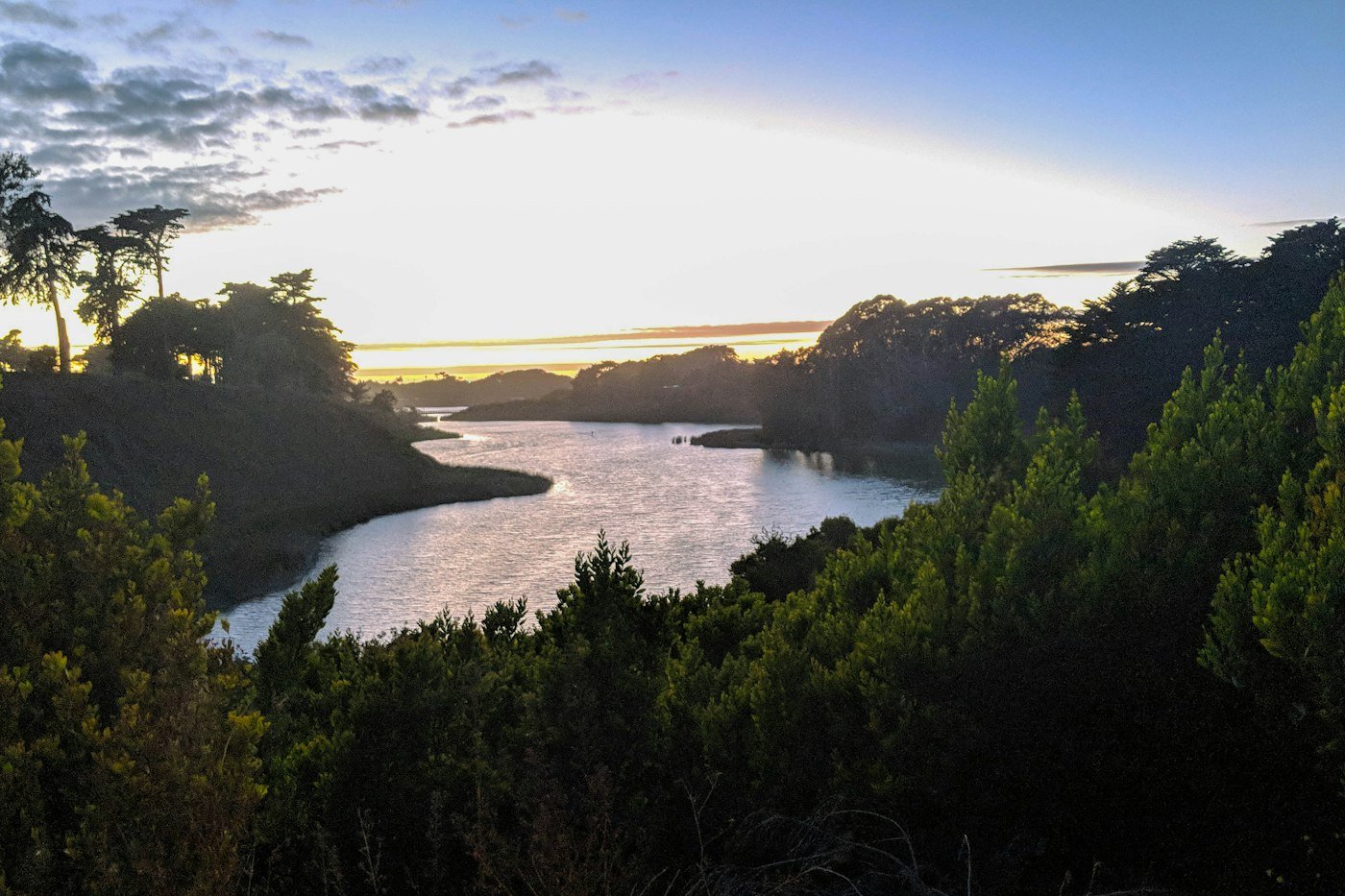 A lake framed by cypress trees in late afternoon light