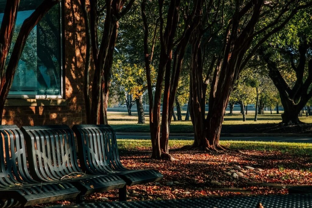 Shady neighborhood park with benches under mature trees