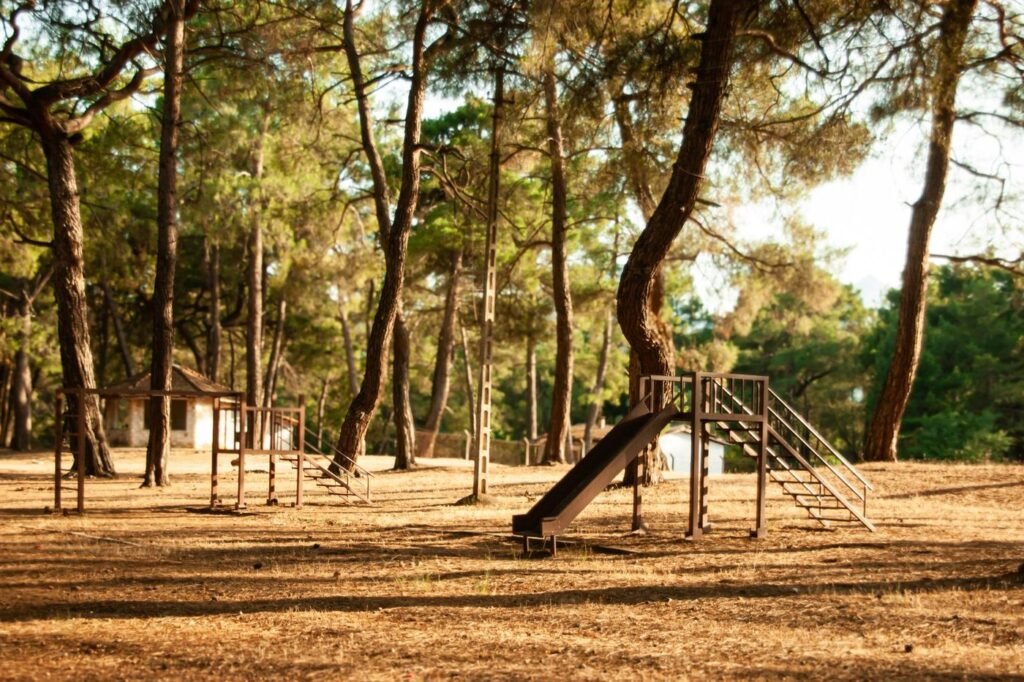 Empty playground with a slide among tall pine trees