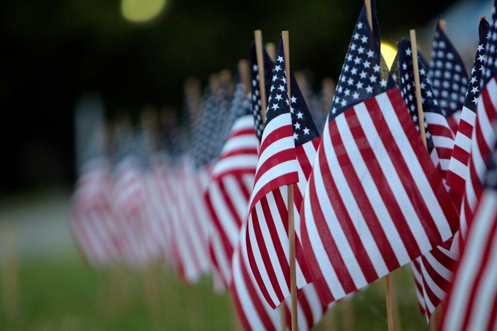 Rows of American flags lined up for Veterans Day